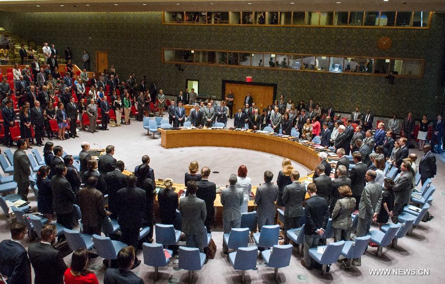 СБ ООН призвал провести всестороннее и независимое международное расследование крушения самолета "Малайзийских авиалиний"