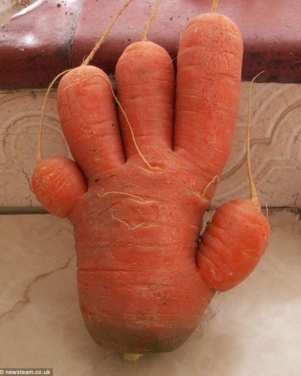 Фрукты и овощи в форме людей!