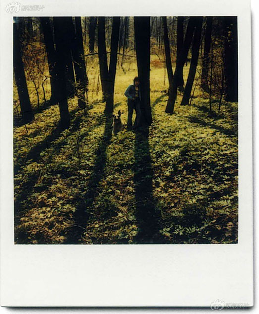 Фотоальбом кинорежиссера Андрея Тарковского