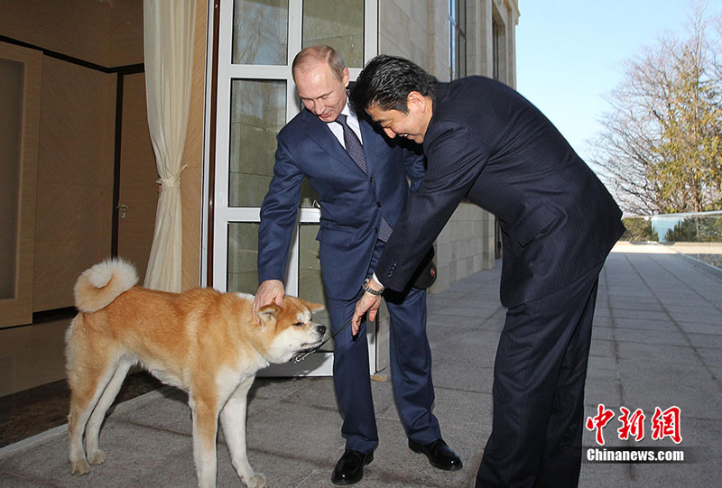 Необычный карточный дом –другая сторона жизни политических гигантов