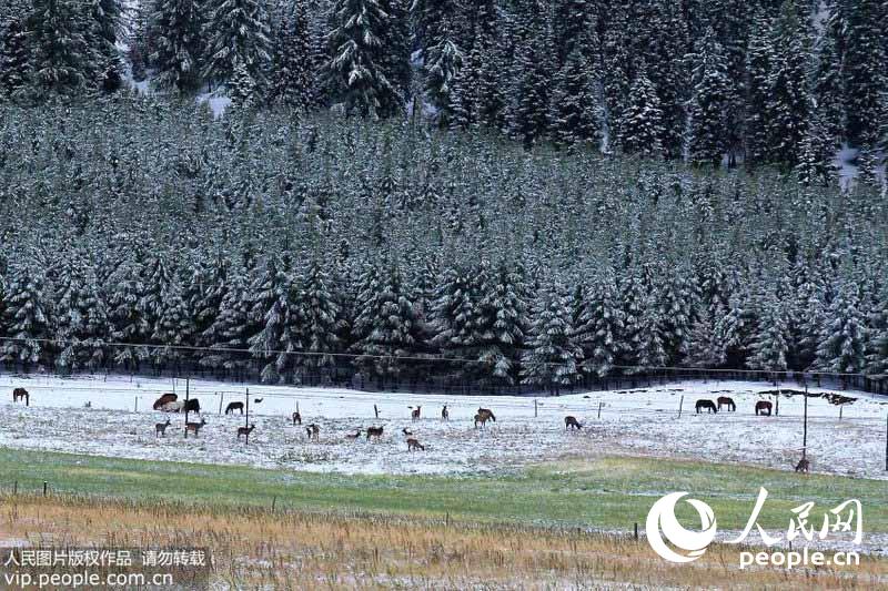 В Синьцзянском уезде Хами выпал первый снег
