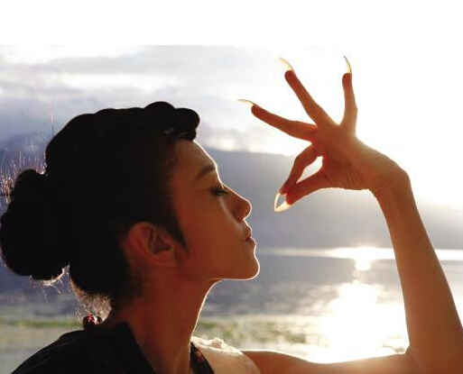 Ян Липин вышла в свет в костюме ?ципао?