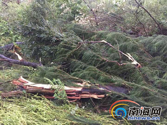 Смерчи обрушились на село провинции Хайнань, один человек погиб