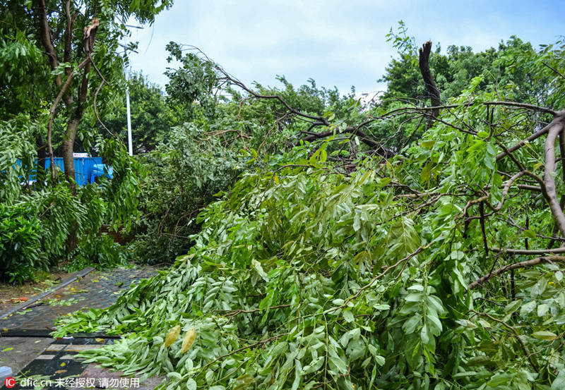 Тайфун ?Нида? обрушился на Шэньчжэнь