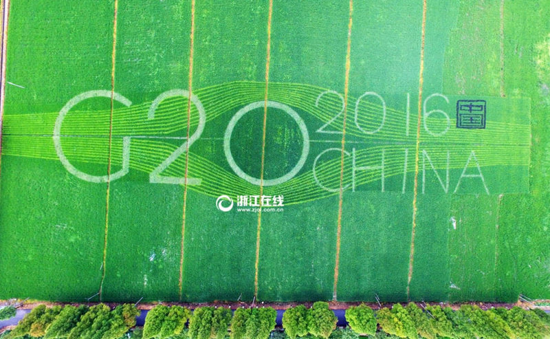 "Смайлик" на рисовом поле в Ханчжоу для встречи саммита G20