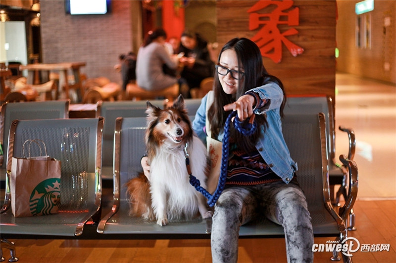 50 собак и их хозяева посмотрели фильм в сианьском кинотеатре