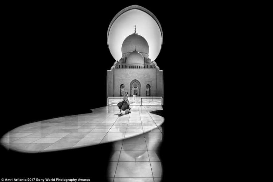 Снимки зданий из фотоконкурса Sony 2017