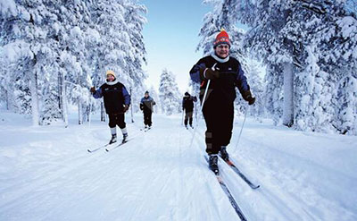 Лыжные гонки в Лапландии, Финляндия. Источник: Arctic Incentives