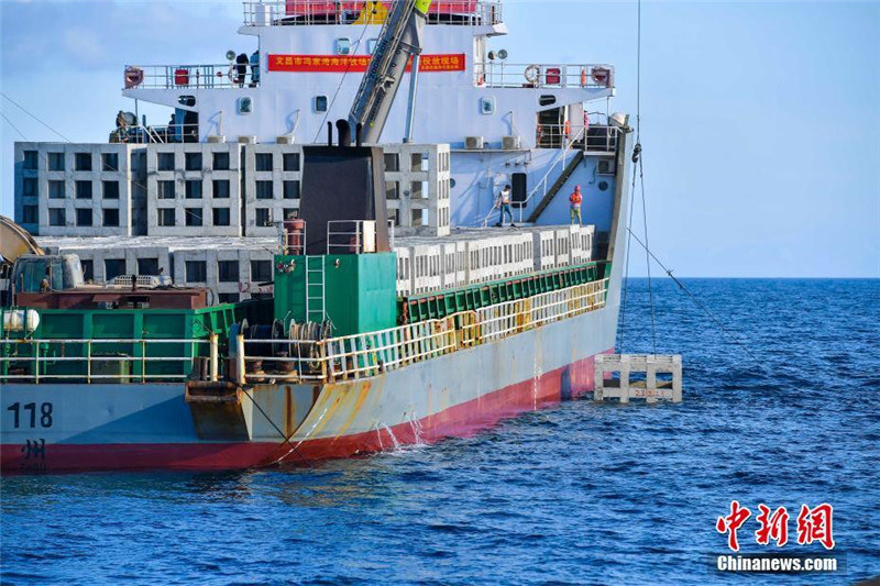 В провинции Хайнань г. Вэньчан простроили морскую ферму