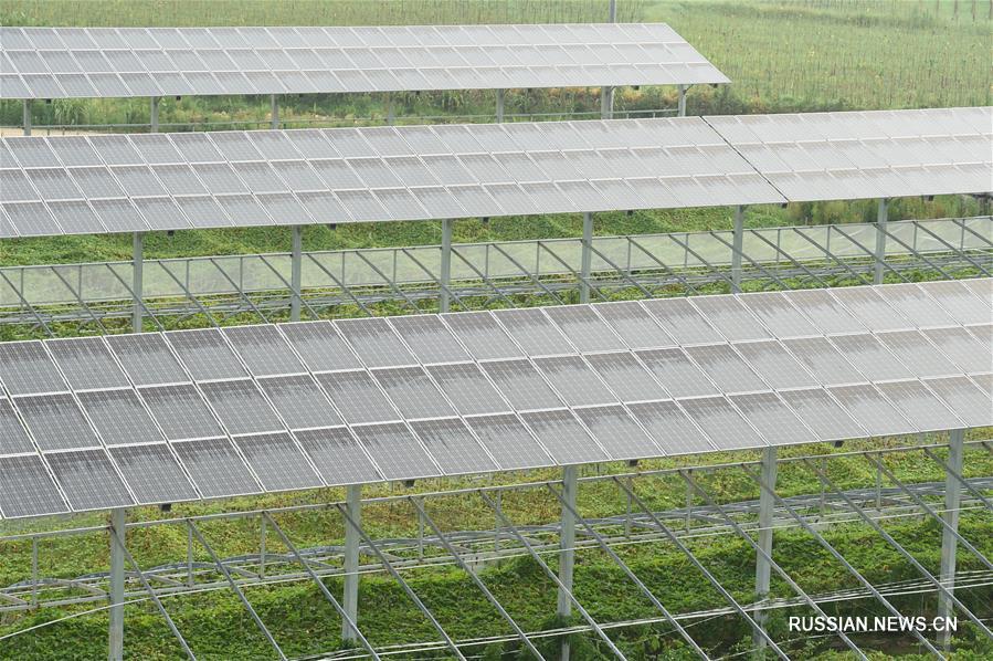 Высокие технологии на службе сельского хозяйства в провинции Фуцзянь