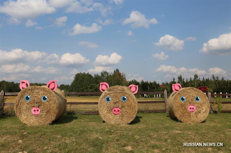 Музей старинных народных ремесел и технологий "Дудутки" в Беларуси