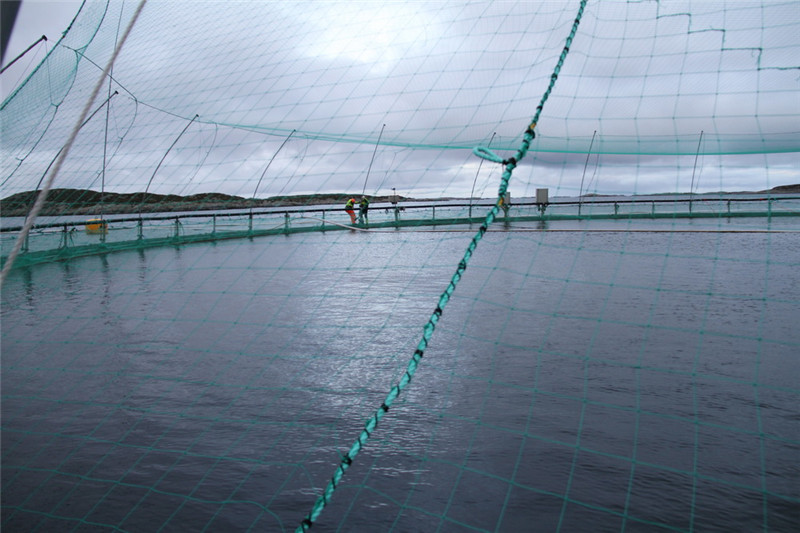 Посещение первого в мире полупогруженного "умного" рыбного угодья китайского производства