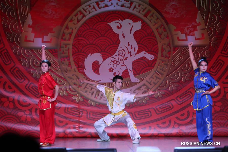 Китайские студенты провели в Минске вечер по случаю наступающего праздника Весны