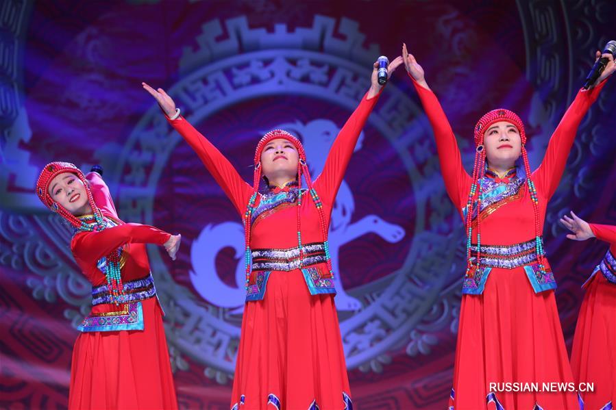 Китайские студенты провели в Минске вечер по случаю наступающего праздника Весны