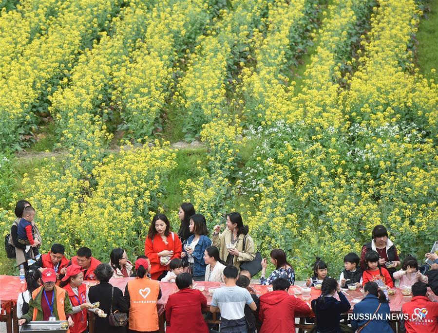 Цветение рапса в провинции Фуцзянь