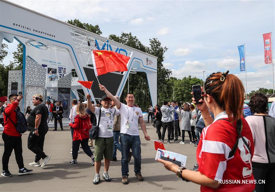 Мой чемпионат мира
