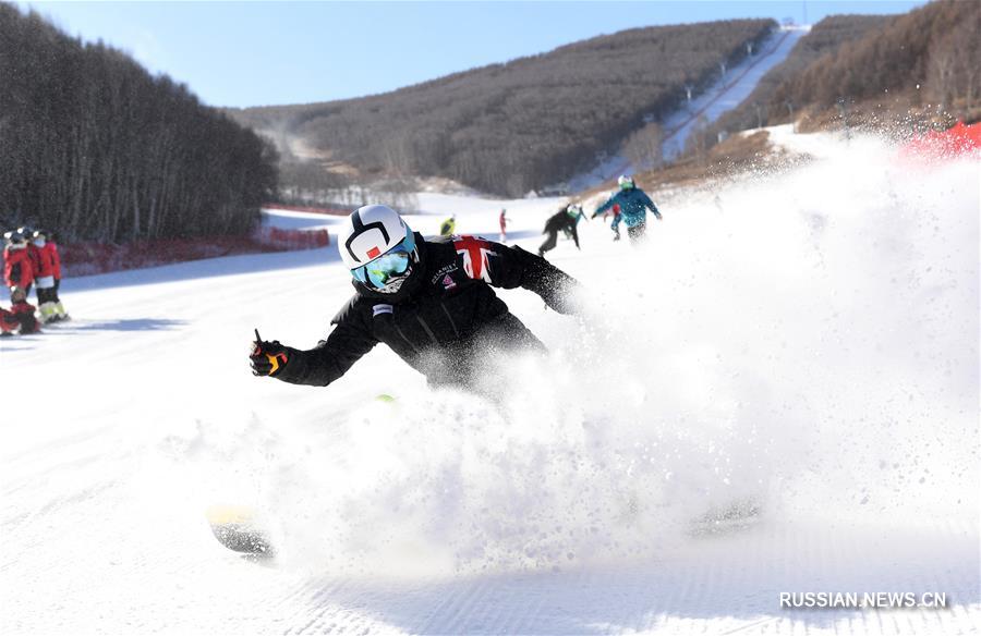 Школа зимних олимпийских видов спорта для молодежи и подростков в городе Чжанцзякоу