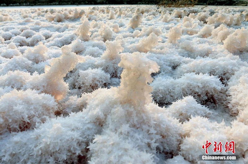 Соленое озеро на Севере Китая покрылось кристаллическими цветами