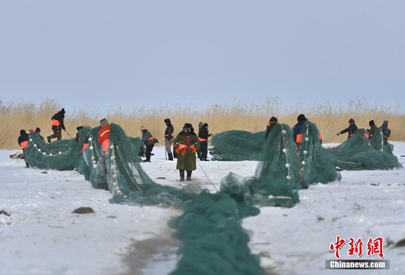 Зимняя ловля рыбы неводом на озере Урунгу