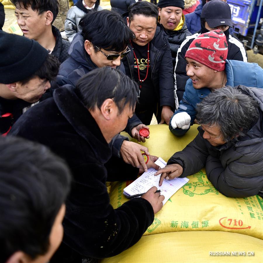 Власти Юйшу пров. Цинхай перебрасывают корм для скота в районы, пострадавшие от снегопадов