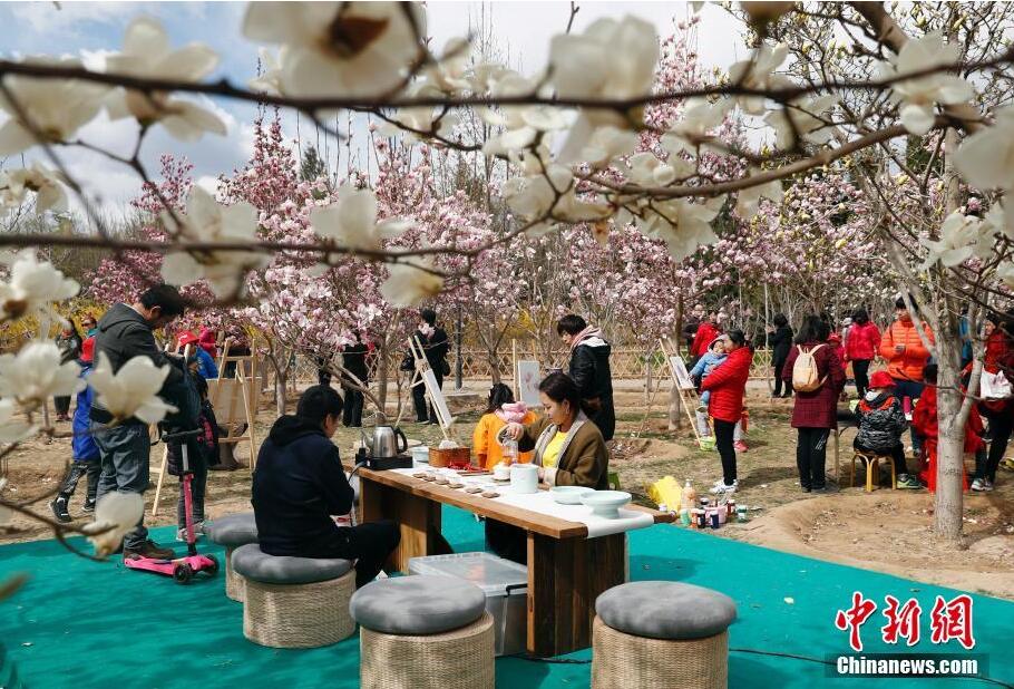 В Пекине распускаются цветы магнолий