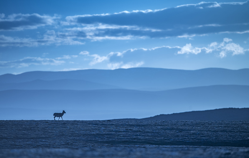 Снимки природного заповедника Кэкэсили