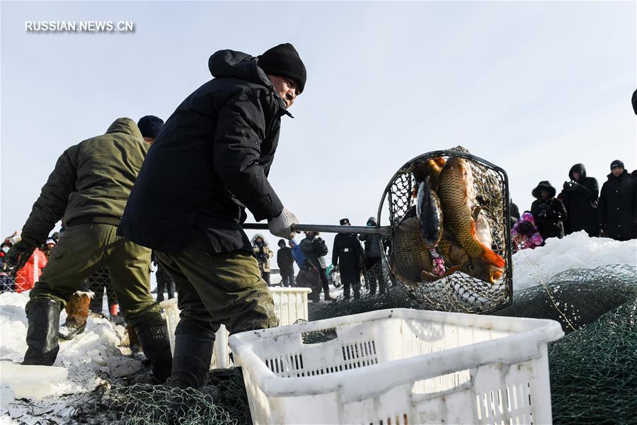 Зимняя рыбалка посреди заснеженной степи