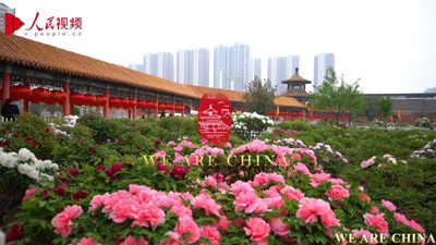 Фильм о городе Хэцзэ китайской провинции Шаньдун представят на международном кинофестивале в Индии