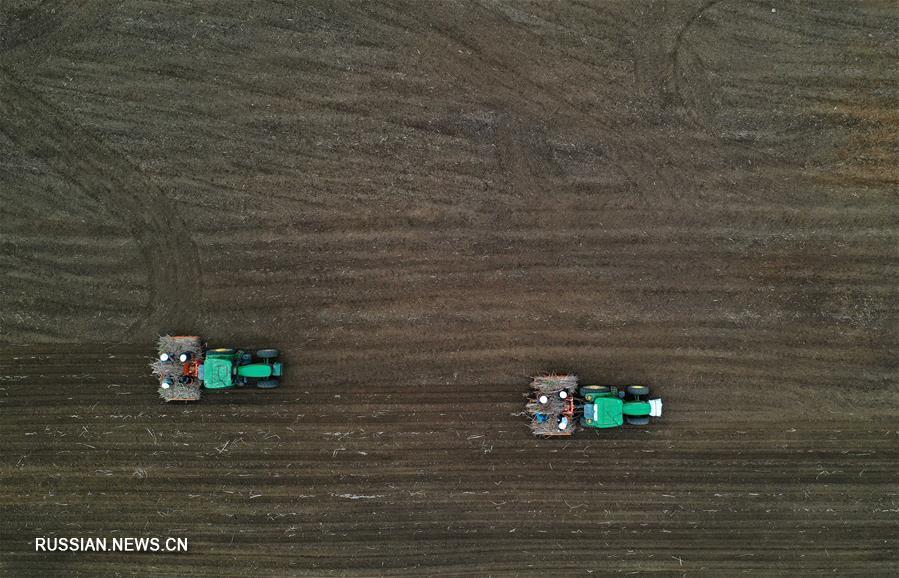 Развитие современного сельскохозяйственного производства в уезде Лучжай