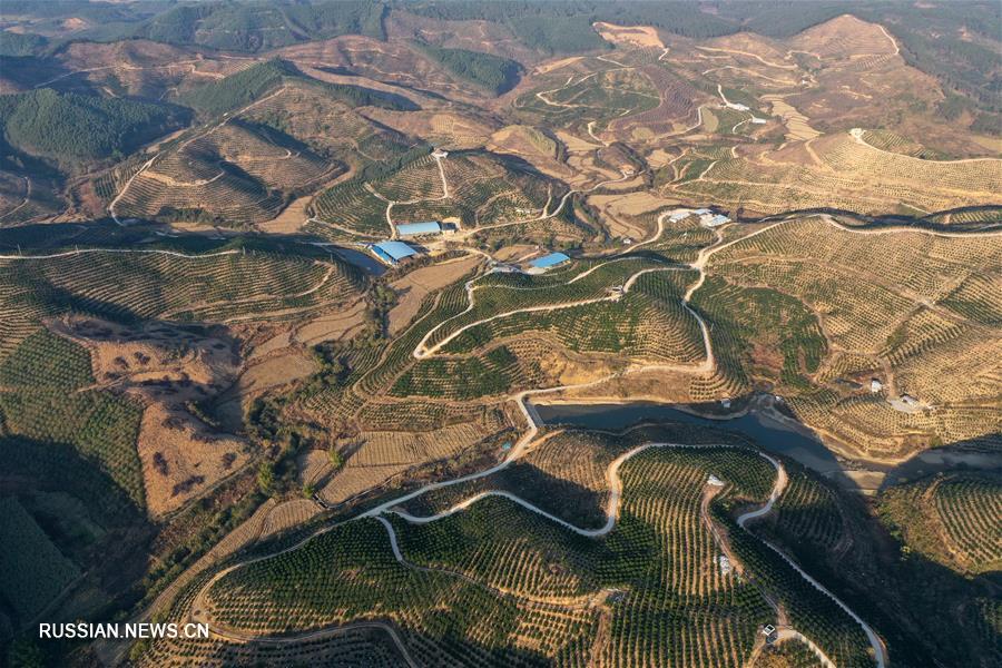 Развитие современного сельскохозяйственного производства в уезде Лучжай