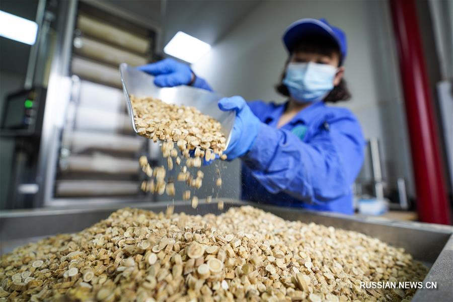 ыращивание лекарственных растений как эффективный рецепт от бедности