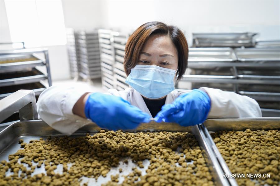 ыращивание лекарственных растений как эффективный рецепт от бедности