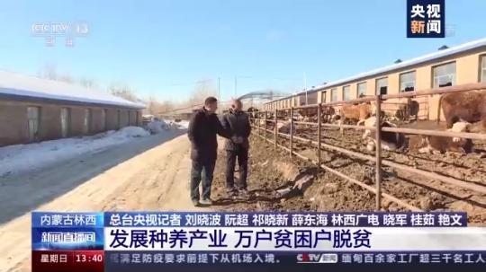 18990 человек выведены из бедности в уезде Линьси Внутренней Монголии