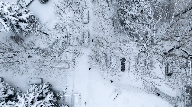 Уникальные рисунки на снегу