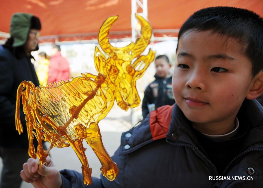 О быке в преддверии года Быка