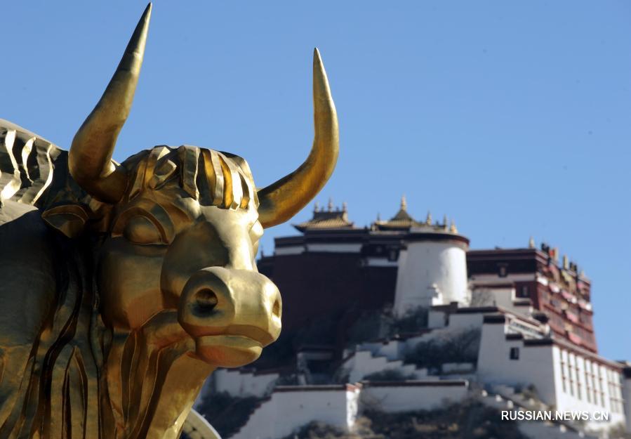 О быке в преддверии года Быка