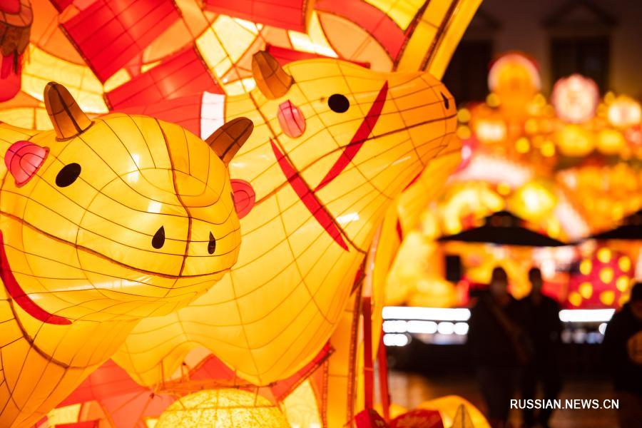 О быке в преддверии года Быка