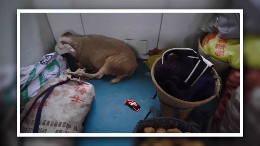 Старые поезда в Китае