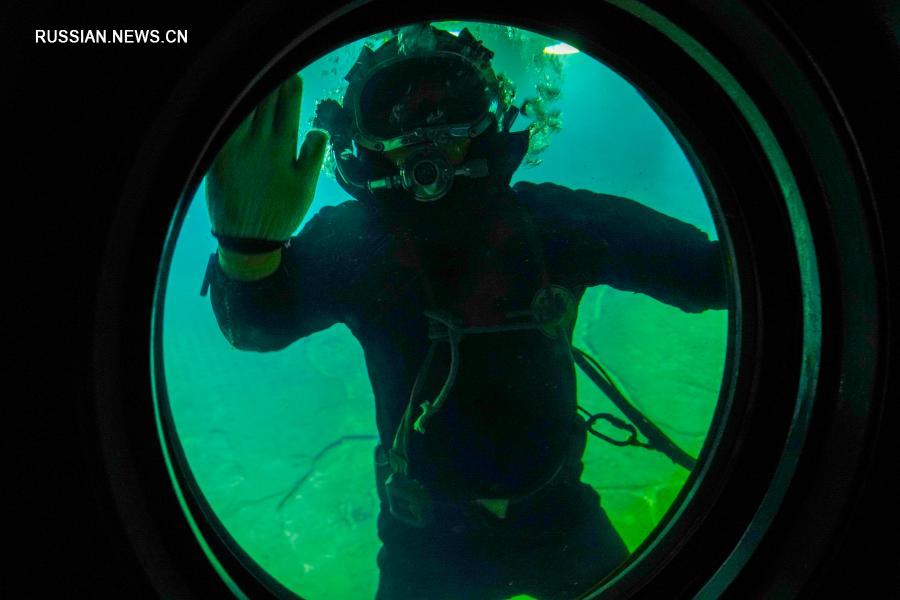 В музее "Байхэлян" запустили работу по чистке подводных экспонатов