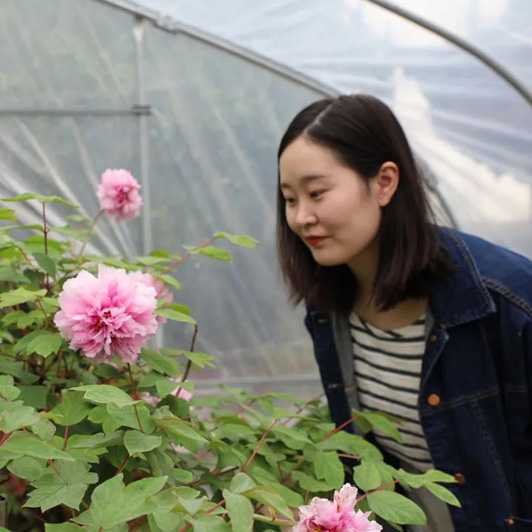 В Шанхае зацвел пион возрастом почти 500 лет