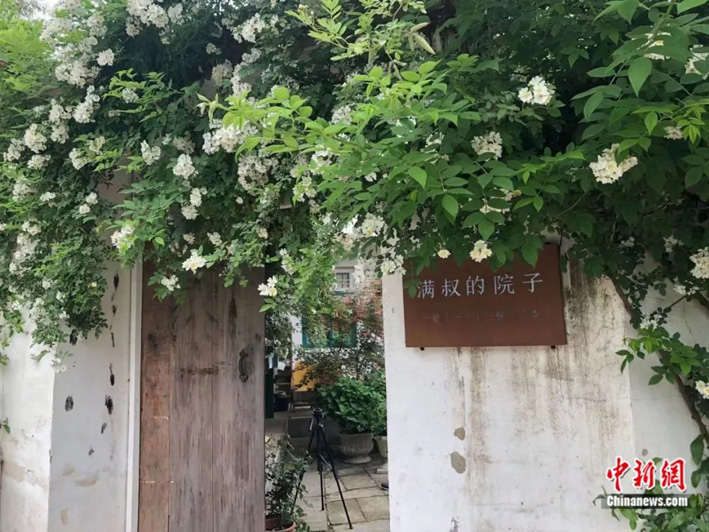 Цветущий двор китайского фотографа