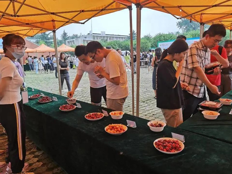 В китайском университете на праздничном столе для выпускников появились фрукты - результаты исследований студентов 