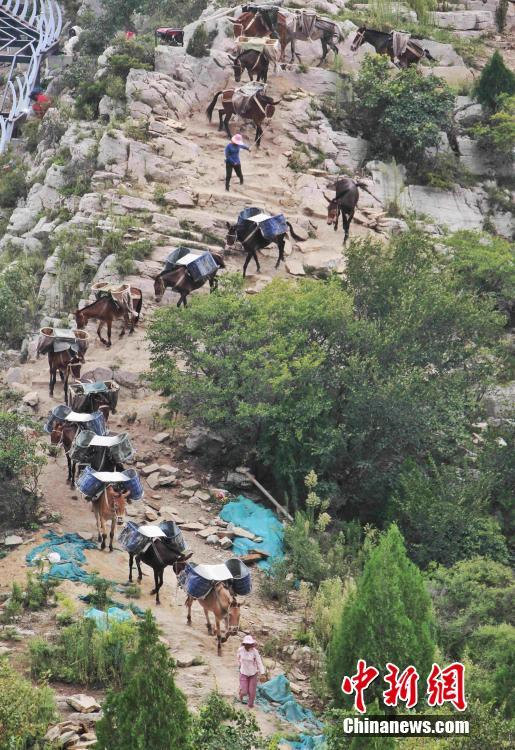 В?городе Цзинань провинции Шаньдун появился традиционный вид перевозки - "конный"