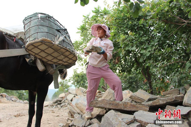 В?городе Цзинань провинции Шаньдун появился традиционный вид перевозки - "конный"