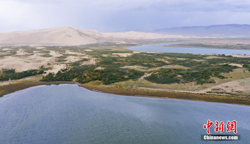 Заметно улучшилась экологическая обстановка ландшафтного района Шадао в Цинхае