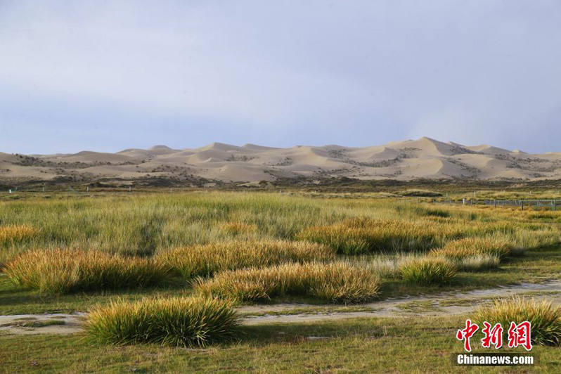 Заметно улучшилась экологическая обстановка ландшафтного района Шадао в Цинхае