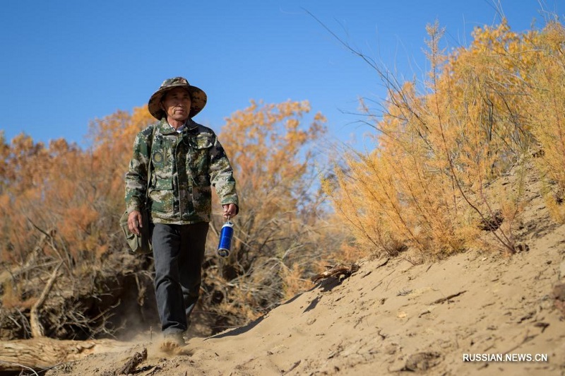 Хранитель евфратских тополей в пустыне