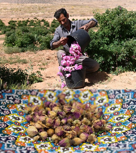 Деликатесы со всего мира на 4-м Китайском международном импортном ЭКСПО