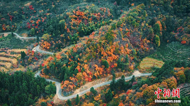 Красочные горные леса в уезде Юэси провинции Аньхой