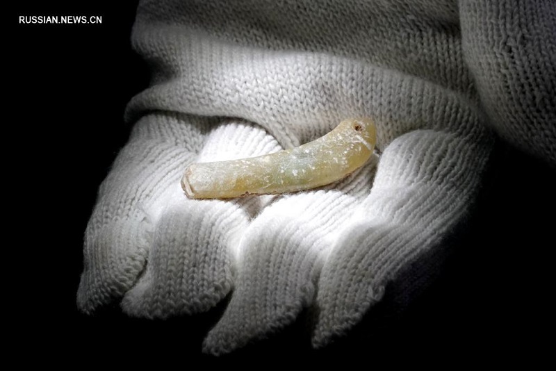 Археологи нашли в Центральном Китае следы мультикультурного взаимодействия 5000-летней давности